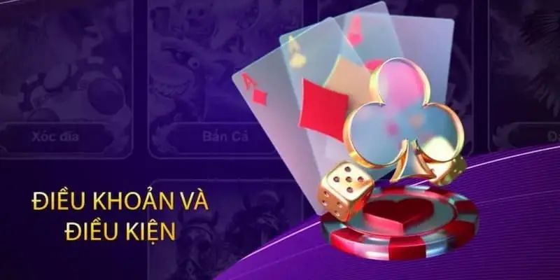 Điều khoản và điều kiện là gì?