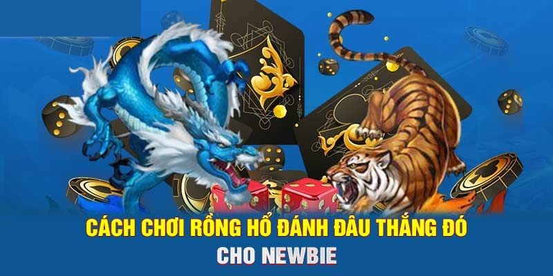 Khám phá luật chơi rồng hổ đơn giản tại For88